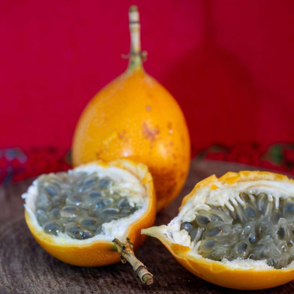Granadilla