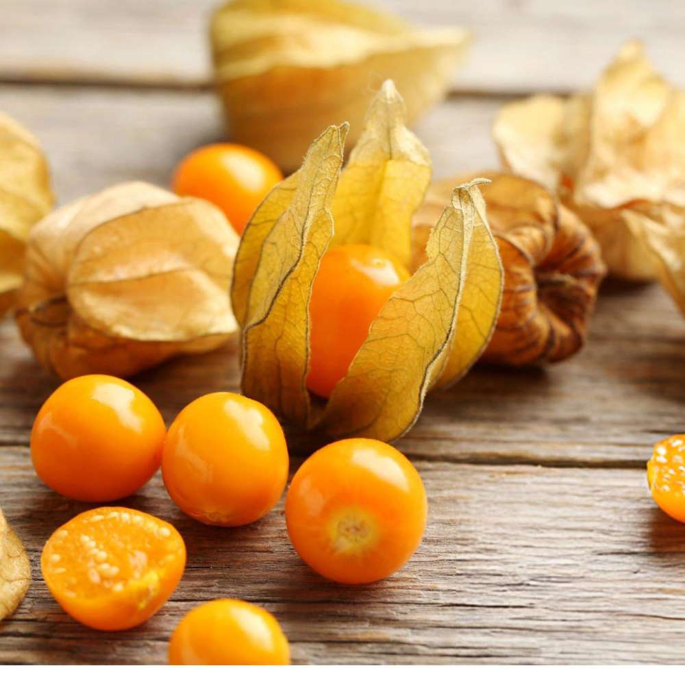 Alchechengi ( physalis )