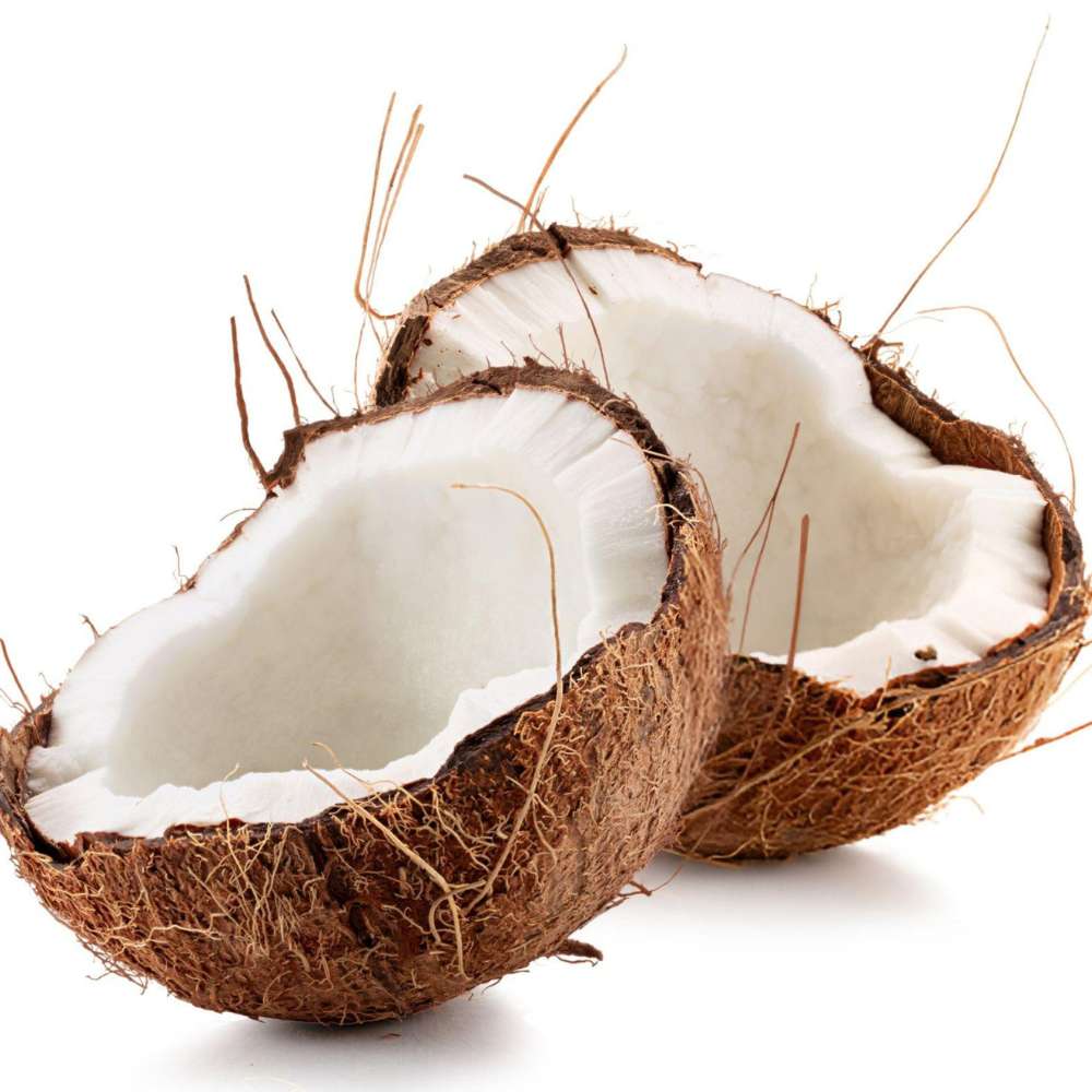 Cocco