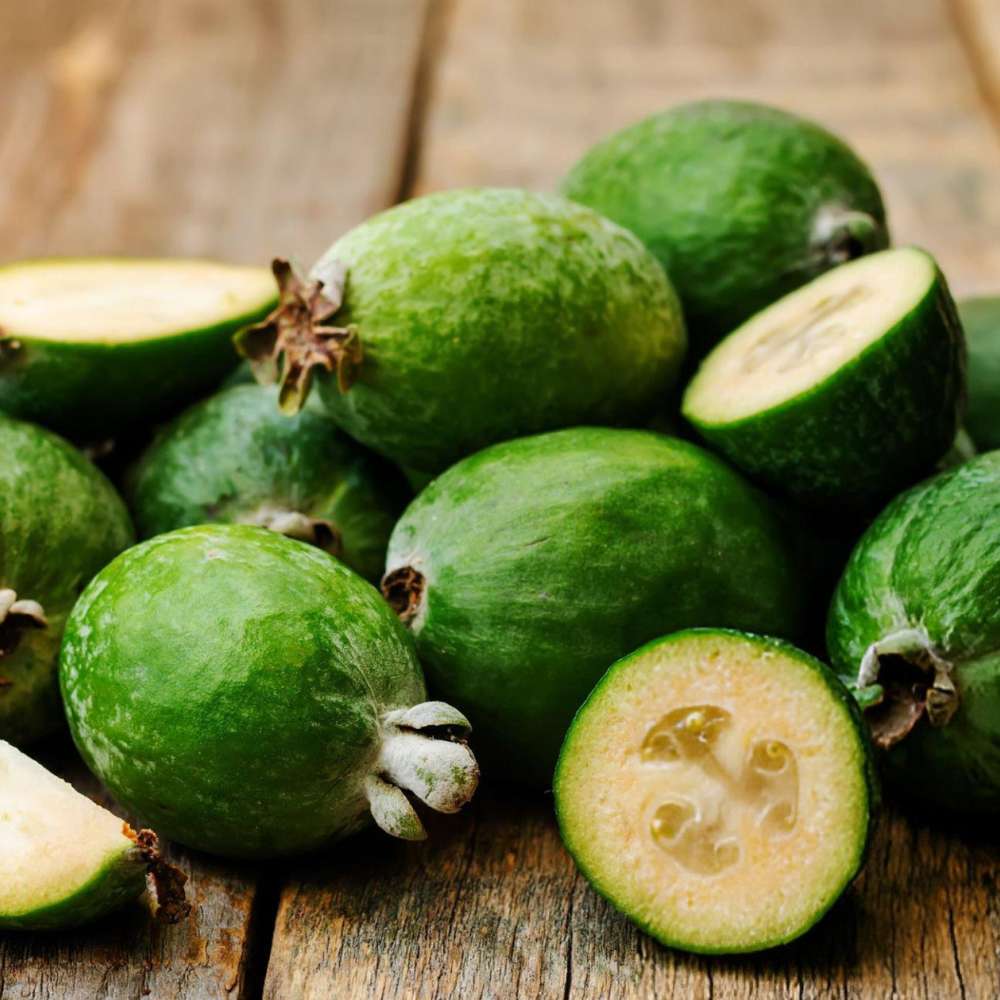 Feijoa