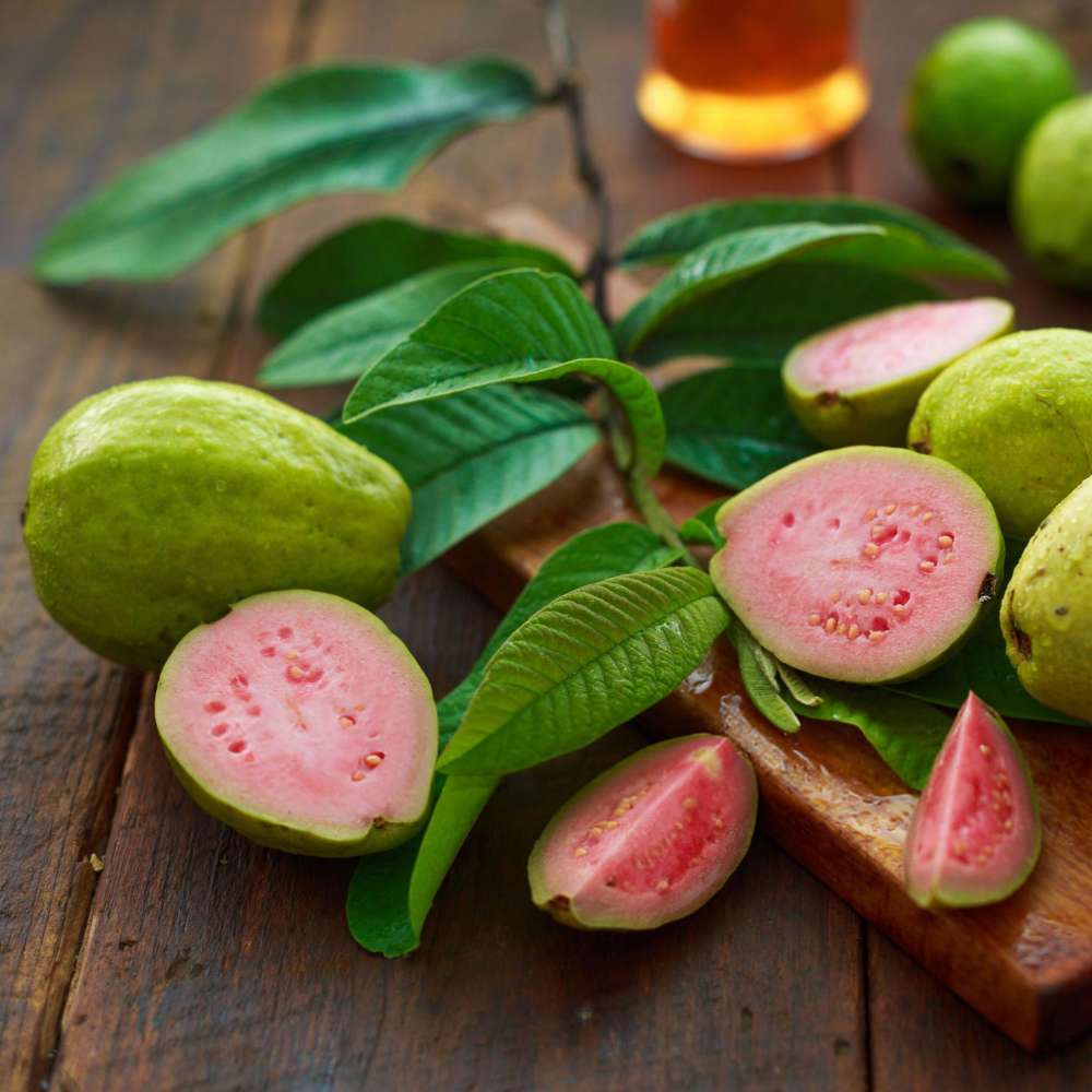 Guava