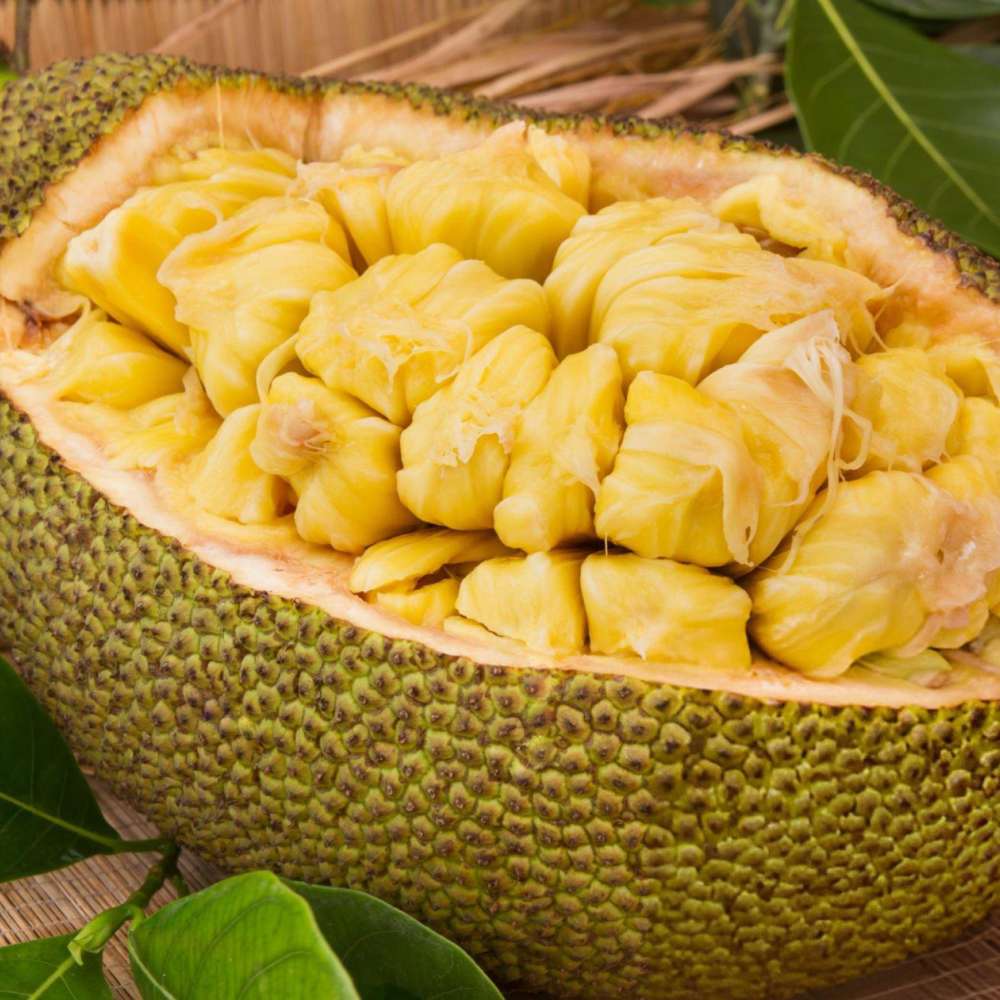 Jackfruit