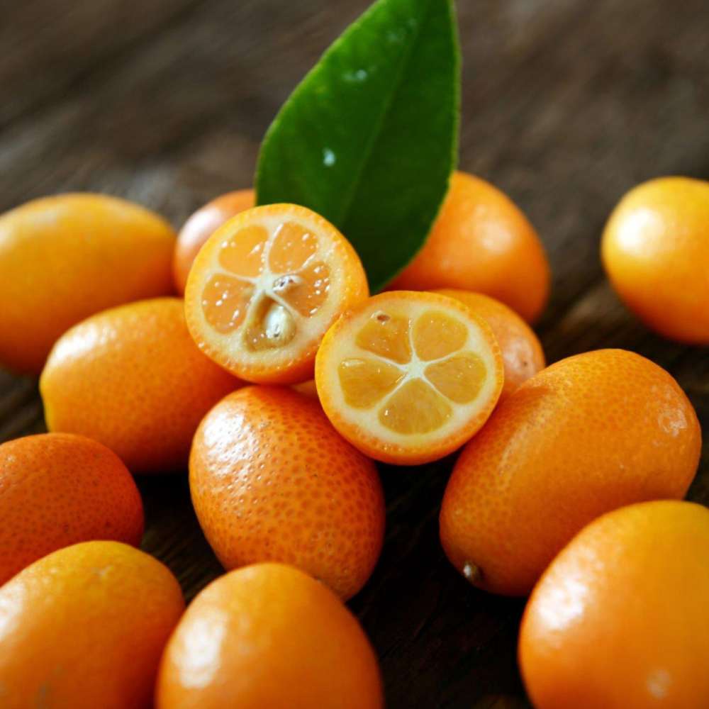 Kumquat