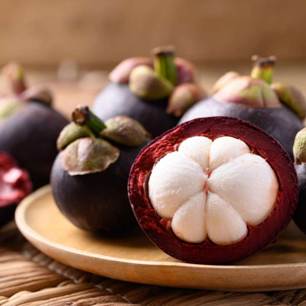 Mangosteen